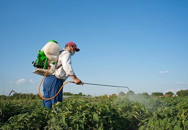自動蟲情測報燈應(yīng)用前景