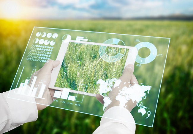 智慧農業是做什么的.jpg