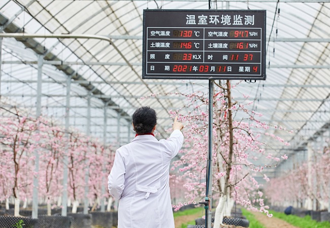 智慧農業大棚控制系統介紹