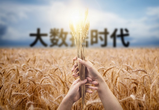 大數據廣泛應用于智慧農業領域.jpg