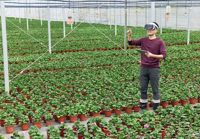 科技改變農業，揭秘智慧農業的奧秘