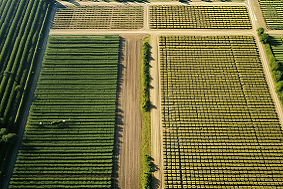 太陽能殺蟲燈多少畝農田安裝一臺