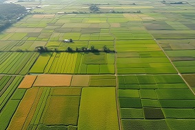 高標準農田建設，如何“破局”？