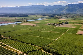 高標準農田建設的實施的三個要點