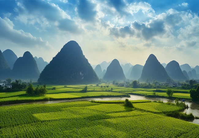 太陽能殺蟲燈介紹