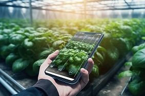 數字農場是什么