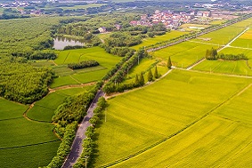 為什么說現代農業產業園是趨勢？