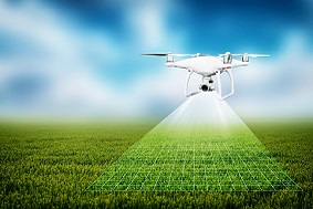 高標準農田概念