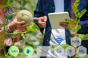 數字農場建設有哪些難點