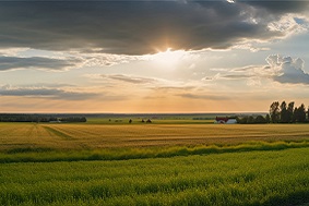 建設高標準農田有哪些好處