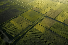 高標準農田特征介紹