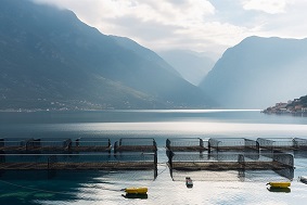 一套水產養殖管理系統多少錢？