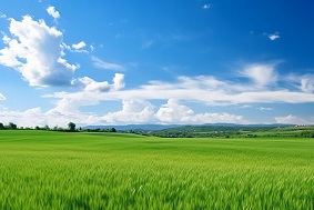 高標(biāo)準(zhǔn)農(nóng)田的優(yōu)勢(shì)有哪些