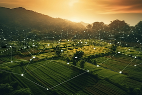 高標準農田管理模式——現代農業發展的關鍵