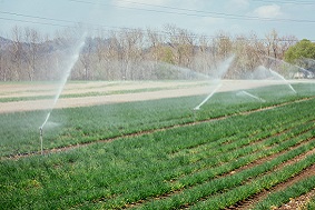 水肥一體化系統特點介紹