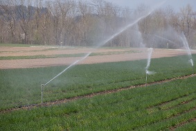 水肥一體化系統包括哪些硬件設備