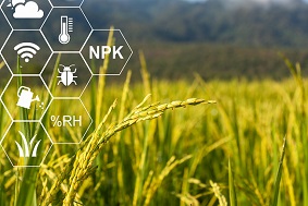 水稻蟲情測(cè)報(bào)燈特點(diǎn)介紹