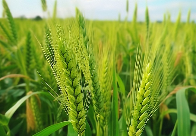 智能孢子捕捉儀優勢介紹