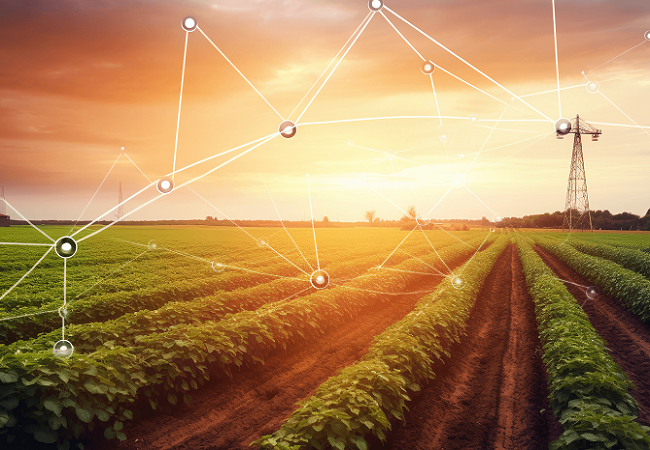 大田綠色防控管理系統有哪些優勢