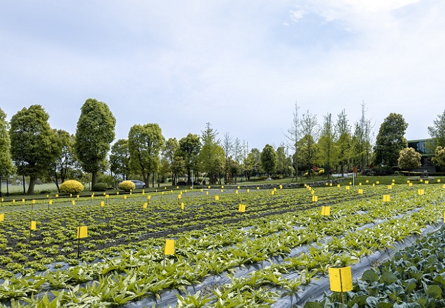 什么是病蟲害監測預警系統？