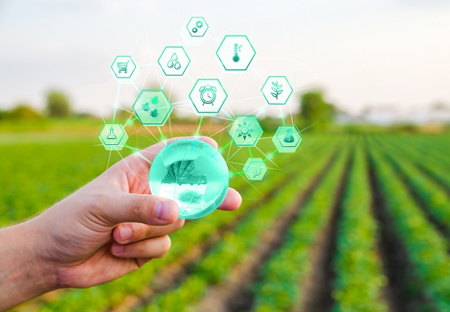 農林四情都哪四情？